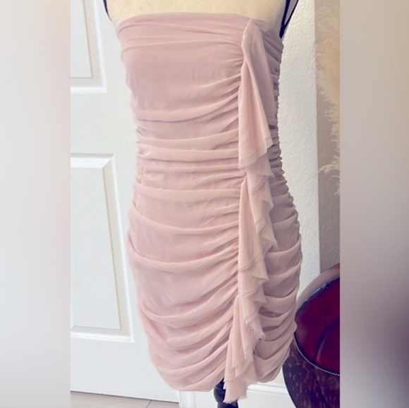 NWT Express Light Pink Sheer Ruched front/Side Detail Strapless Dress Sz: 2 - Picture 1 of 7